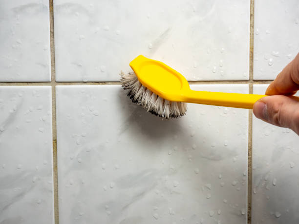 Professional Mold Removal in St Albans, WV